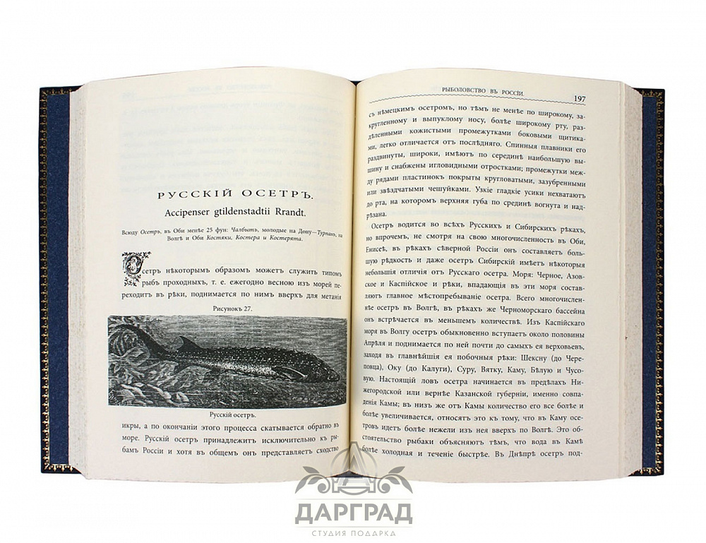 Подарочное издание «Рыболовство России» репринт